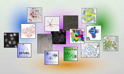Research Image Analysis