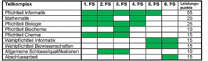 Struktur des Studiengangs Bachelor Bioinformatik